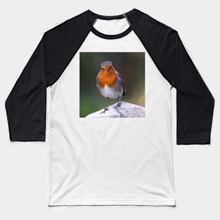 Robin Baseball T-Shirt